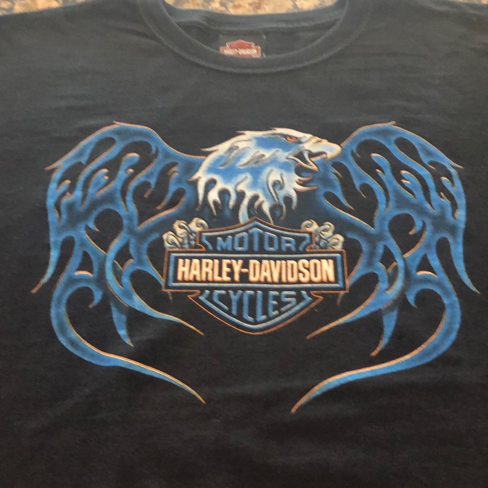 Harley-Davidson Men’s Loveland, CO T-shirt Large